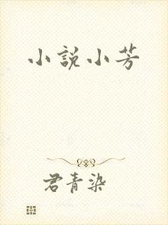 小说小芳