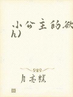 小公主的欲奴(h)