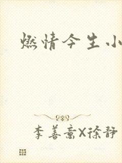 燃情今生小说封面