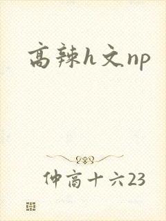 高辣h文np封面