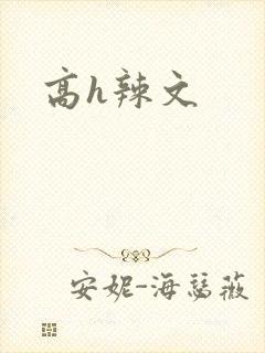 高h辣文
