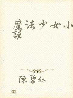 魔法少女小圆小说封面