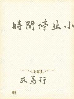 时间停止小说