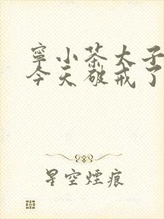 宁小茶太子殿下今天破戒了吗免费阅读