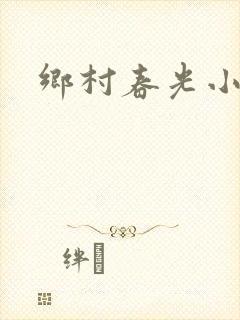 乡村春光小说