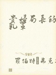 贵妇局长的蕾丝乳罩