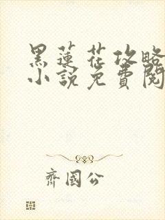 黑莲花攻略手册小说免费阅读