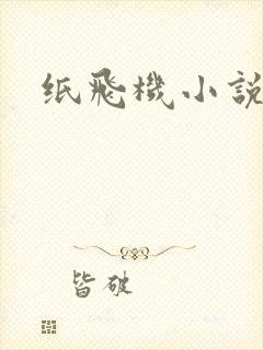 纸飞机小说封面