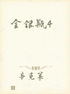 金银瓶4封面