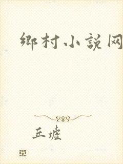 乡村小说网封面