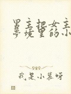 男主把女主拖进梦境里的小说