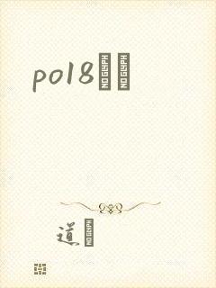 po18С˵封面