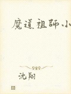 魔道祖师小说封面