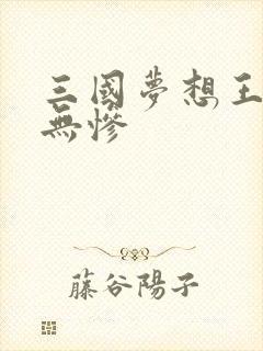 三国梦想王元姬无惨