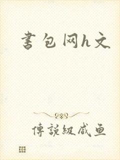 书包网h文