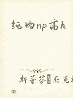 纯肉np高h