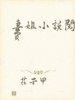 妻姐小说阅读免费封面