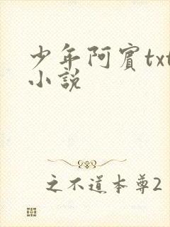 少年阿宾txt小说