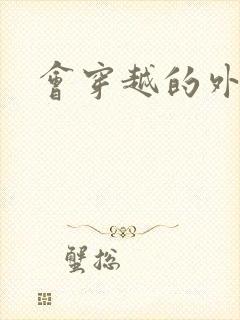 会穿越的外交官封面