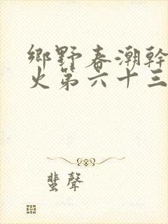 乡野春潮干柴烈火第六十三章