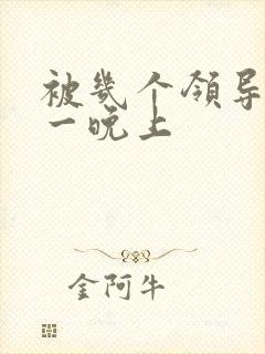 被几个领导玩弄一晚上