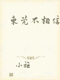 东莞不相信眼泪