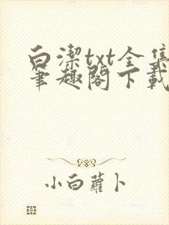 白洁txt全集笔趣阁下载封面