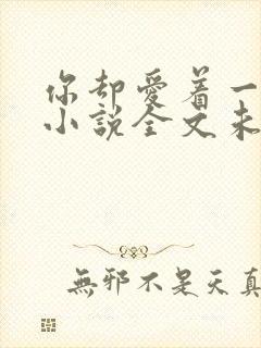 你却爱着一个他小说全文未删减免费