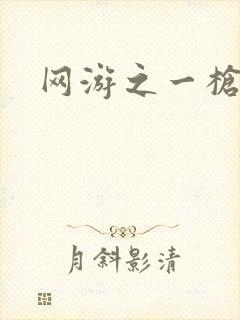 网游之一枪飙血封面