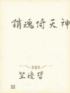 销魂倚天神雕封面