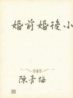 婚前婚后小说