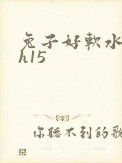 兔子好软水好多h15封面