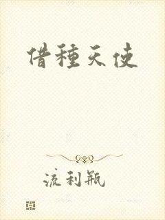 借种天使封面