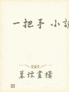 一把手 小说