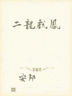 二龙戏凤
