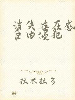 消失存在感消失自由侵犯