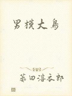 男模大鸟封面