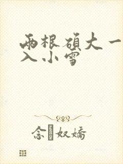 两根硕大一起挤入小雪