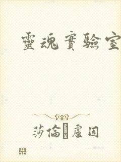 灵魂实验室