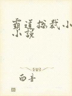 霸道总裁小娇妻小说