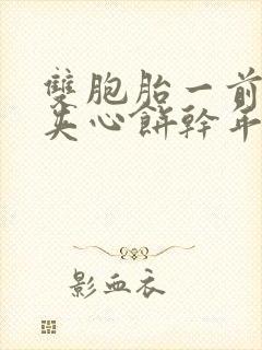 双胞胎一前一后夹心饼干年下