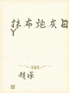 抹布炮灰日记BY封面