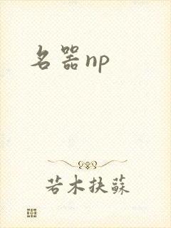 名器np