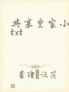 共享皇家小公主txt封面