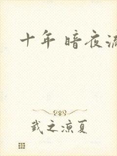 十年 暗夜流光封面