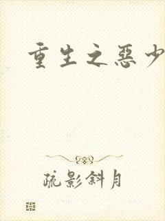重生之恶少封面