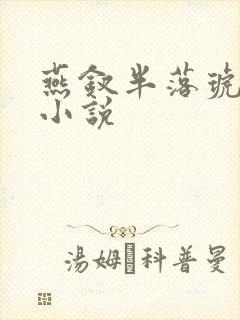 燕钗半落琥珀糖小说