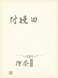 付晓田