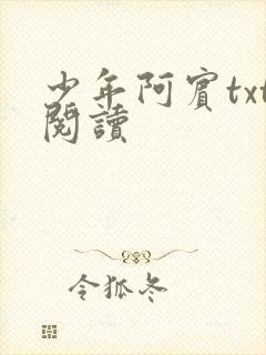 少年阿宾txt阅读
