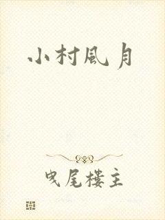 小村风月封面